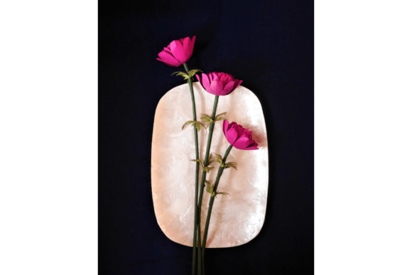 Double Anemone 3D SVG for Paper Flowers Branding