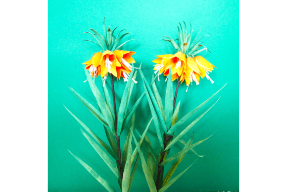 Fritillaria Imperialis: 3D SVG Paper Flowers