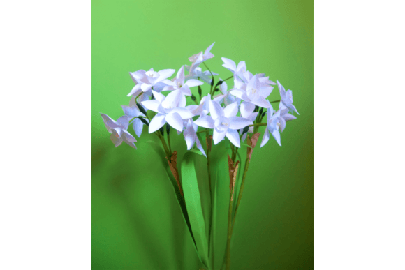 Narcissus Paperwhite: 3D SVG for Paper Flowers