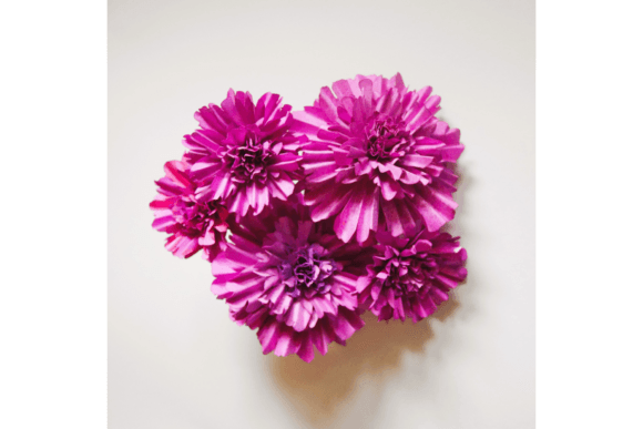 Philophrosyne: 3D SVG Paper Flowers for Branding