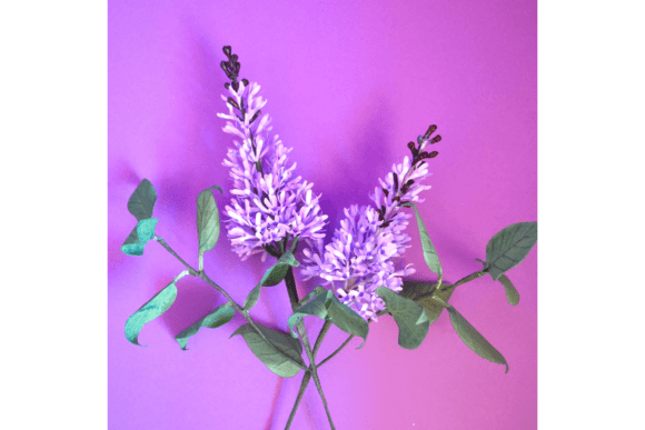 Syringa 3D SVG for Elegant Paper Flowers